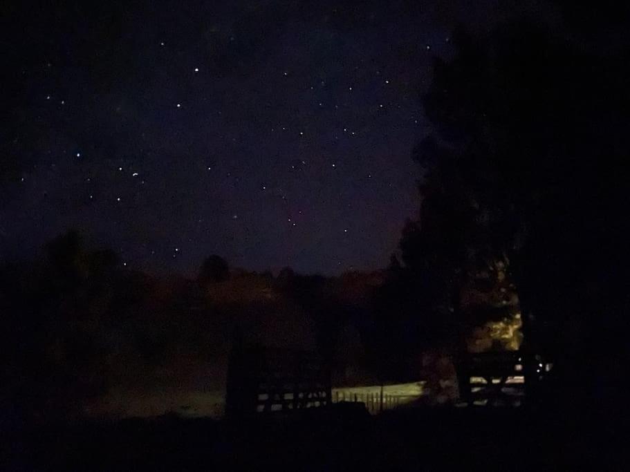 Bush Cabin Your Own Place Stunning Views 타우마루누이 외부 사진
